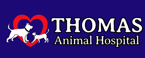 Thomas Animal Hospital