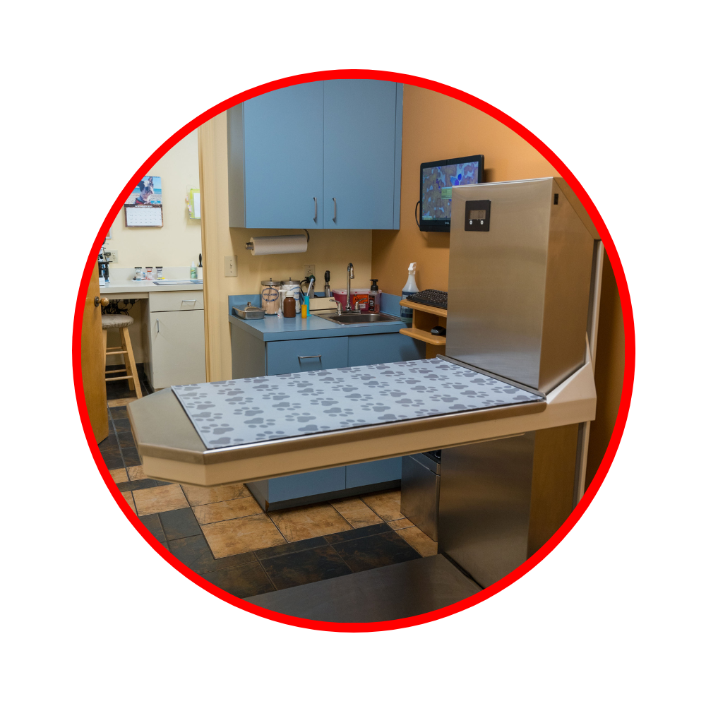 pet exam room