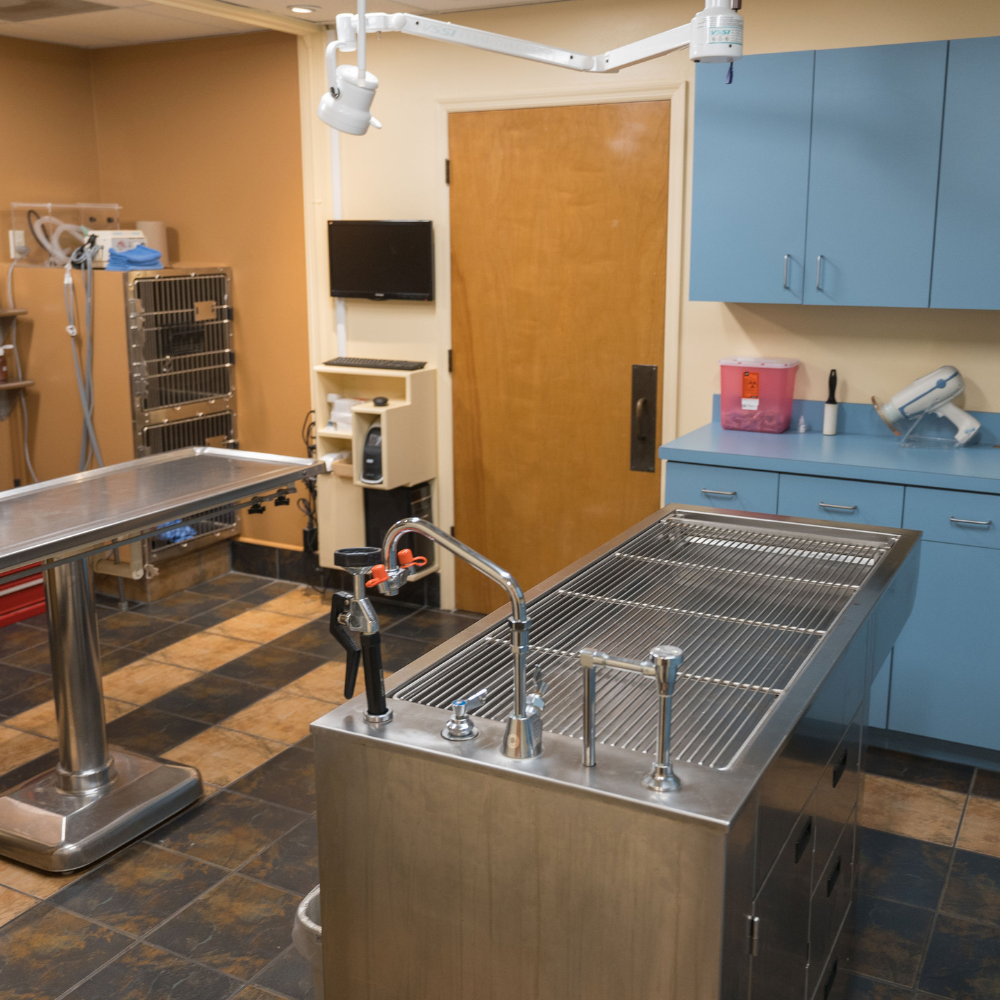 dental table Surgery bed