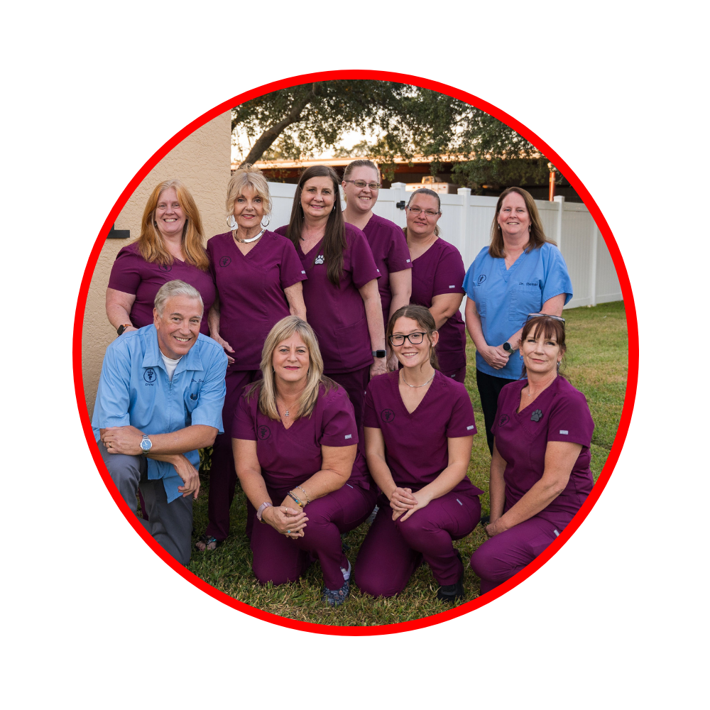 group-of-team-member
