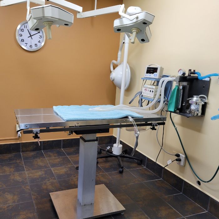 Surgery bed