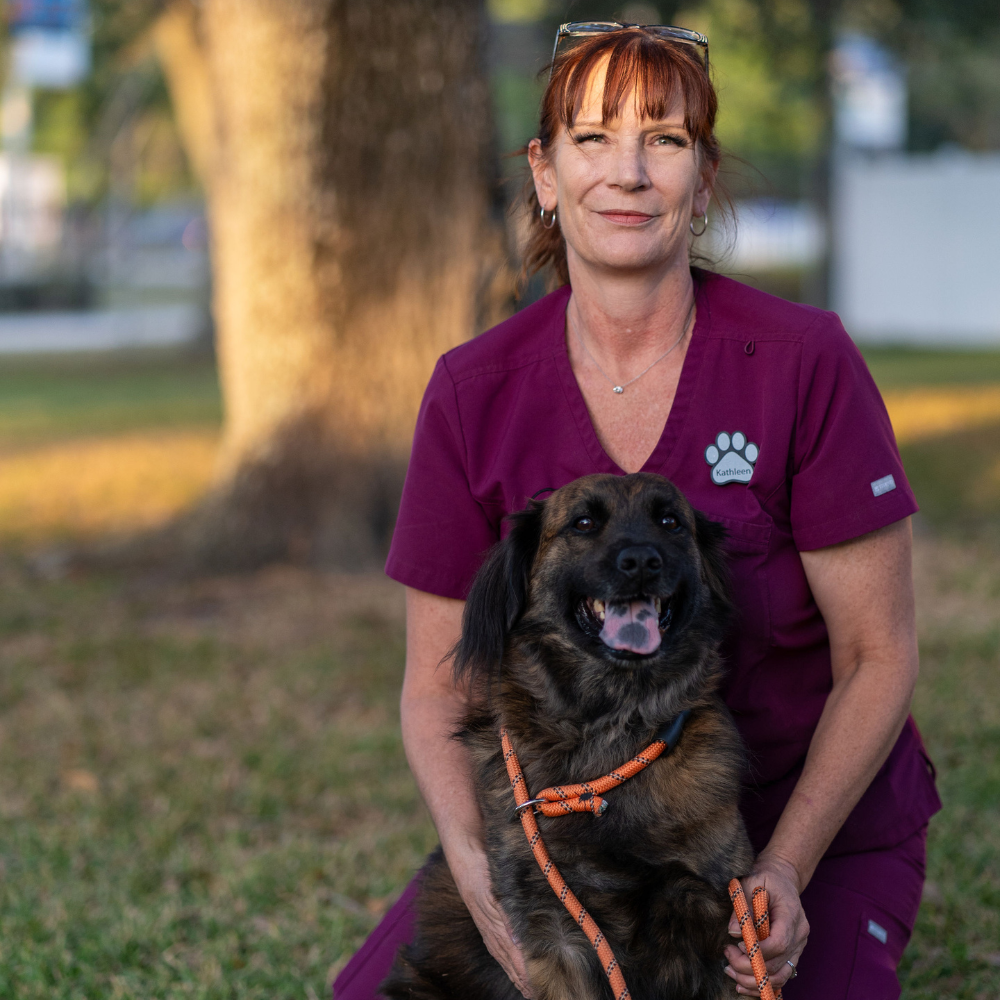 vet with dog